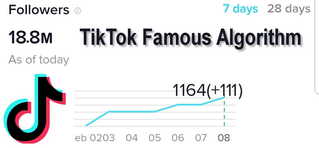 How To Become TikTok Famous